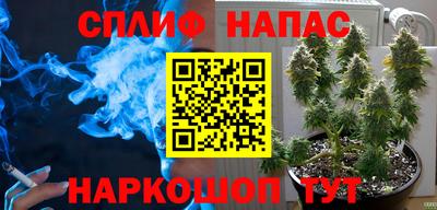 дмт Краснознаменск