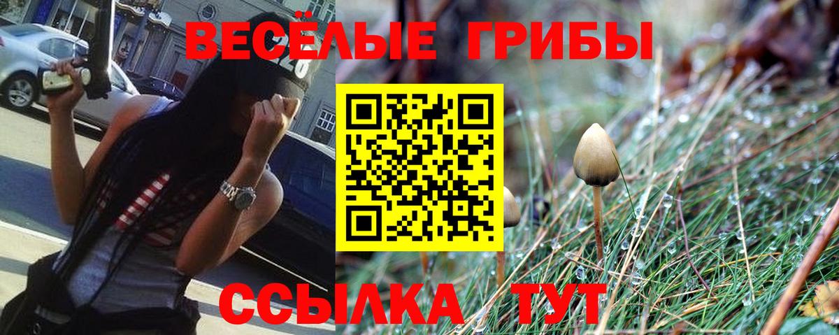 Гусев  Галлюциногенные грибы прущие грибы  Вход с VPN  купить наркотики сайты  Псилоцибиновые грибы GOLDEN TEACHER 