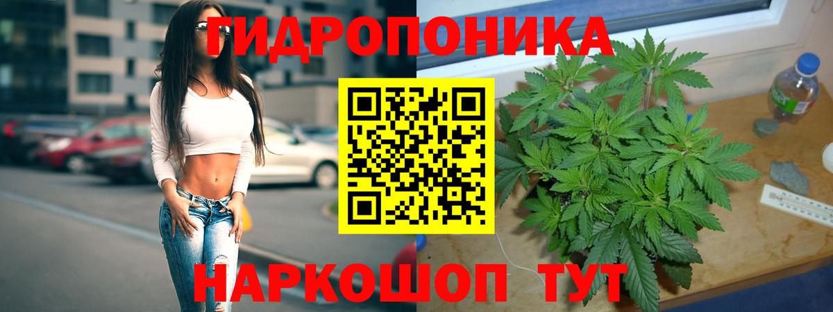 Каннабис MAZAR  Вход с VPN  Гусев  Бошки марихуана MAZAR 